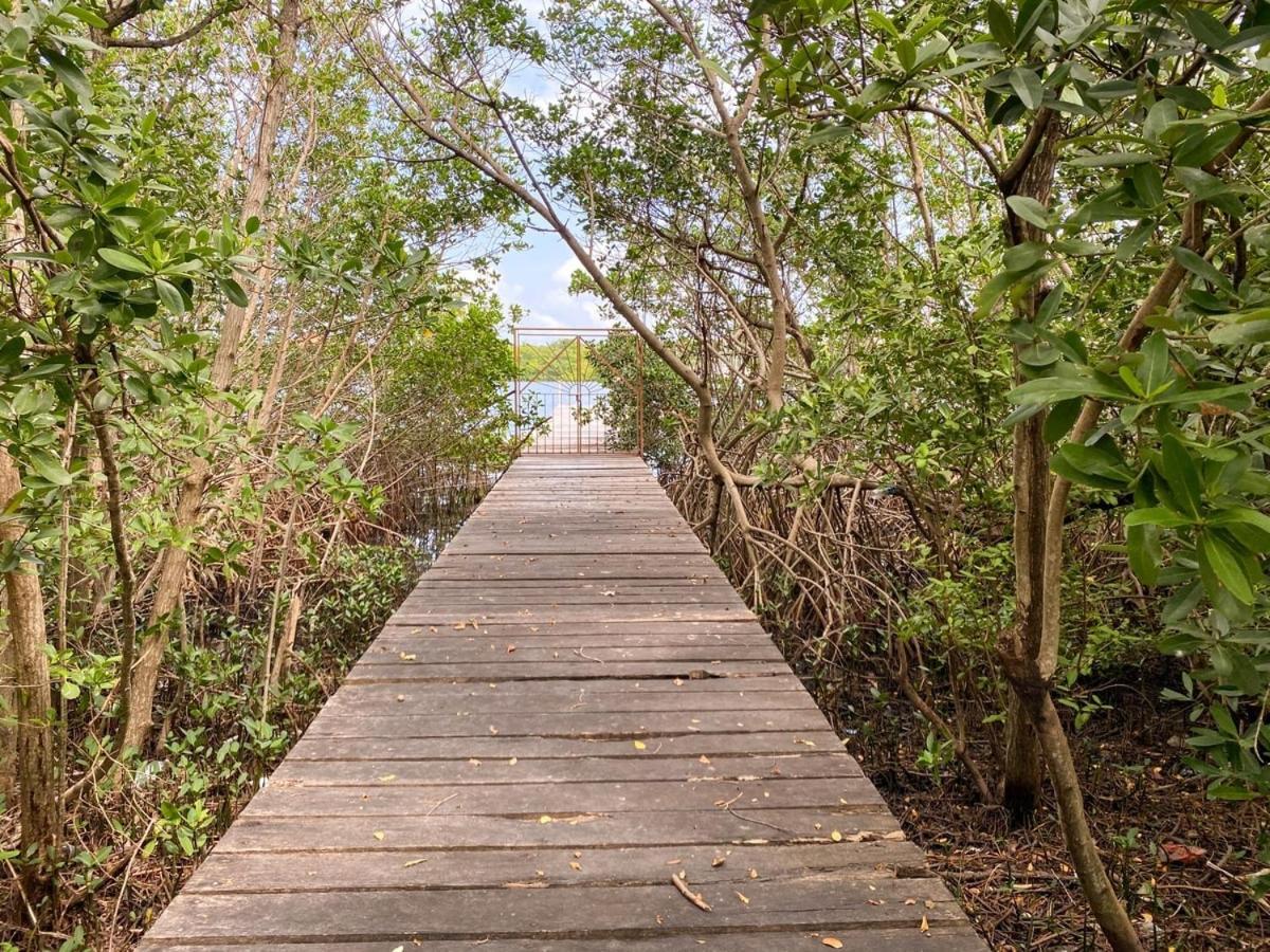 Villa Angela Isla Mujeres Luaran gambar