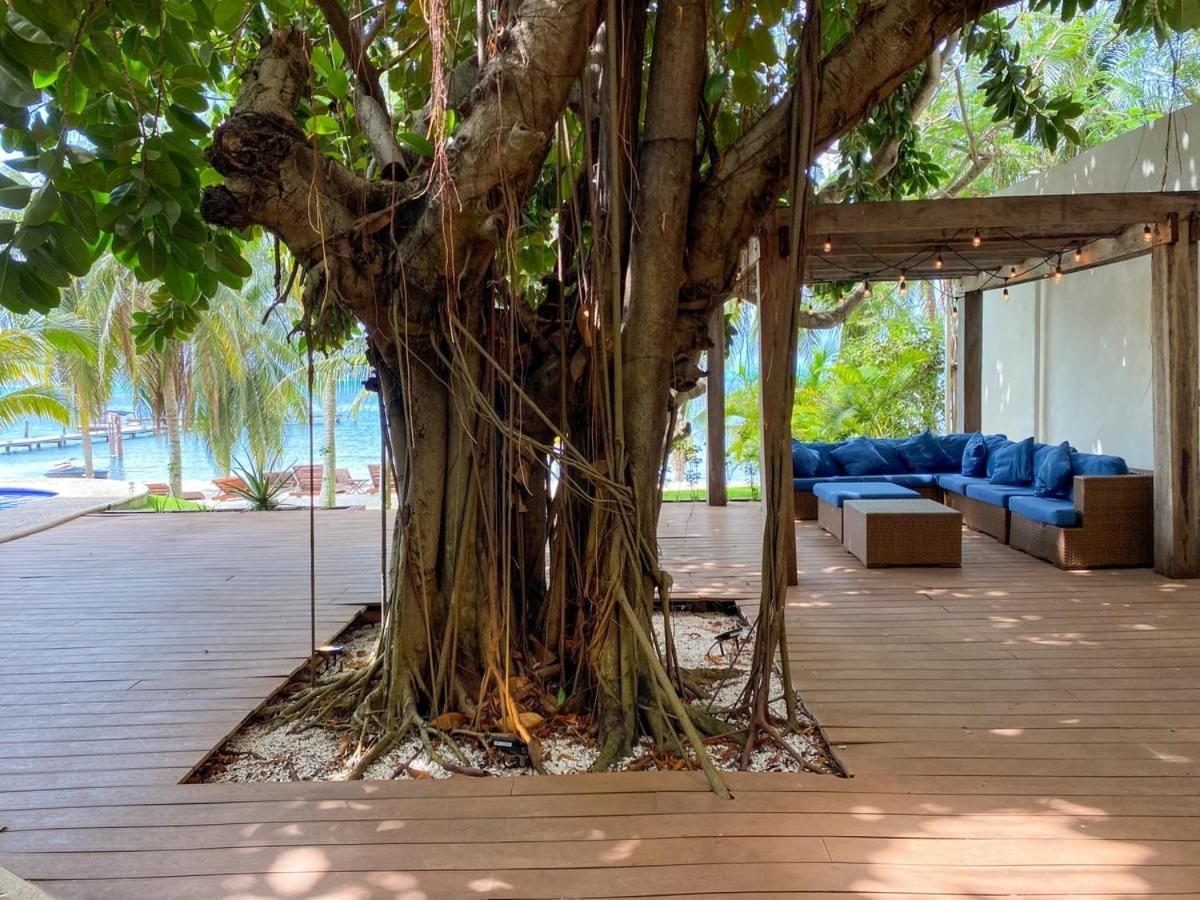Villa Angela Isla Mujeres Luaran gambar